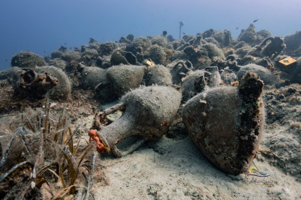 Αρχαίοι αμφορείς κατάφυτοι από φύκια διάσπαρτοι στον βυθό της θάλασσας.