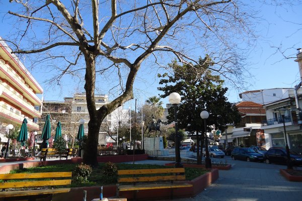 Δύο παγκάκια και ένα δέντρο στον υπαίθριο χώρο της πλατείας Κιλκίς.