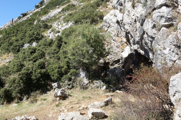 Η είσοδος του Κωρύκειου Άντρου βρίσκεται σε μια βραχώδη πλαγιά λόφου πνιγμένη με θάμνους.