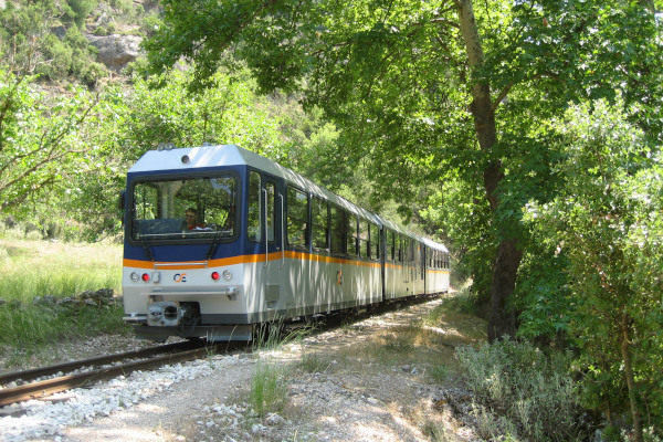 Το τρένο του Οδοντωτού Διακοπτού - Καλαβρύτων ανάμεσα σε πυκνή βλάστηση.