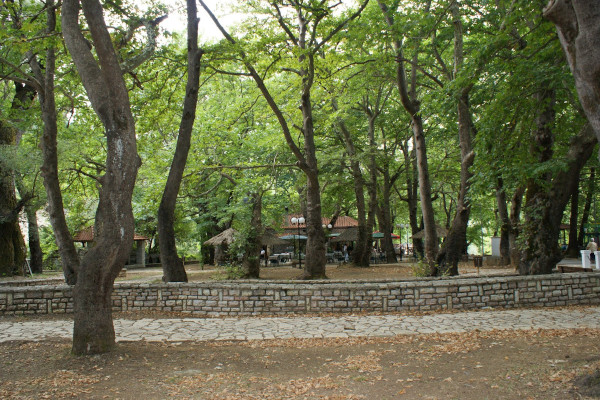 Τα ψηλά δέντρα και η πυκνή βλάστηση του πάρκου καθώς και το κτίριο μιας μικρής ταβέρνας.