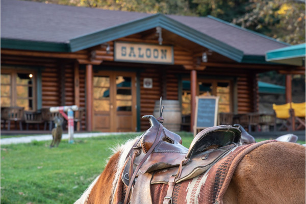 Ένα άλογο που βόσκει μπροστά από την καφετέρια Saloon, χτισμένη σαν τα σαλούν της Άγριας Δύσης.