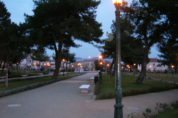Τα μονοπάτια του Δημοτικού Πάρκου Κοζάνης ανάμεσα στα δέντρα το βράδυ.