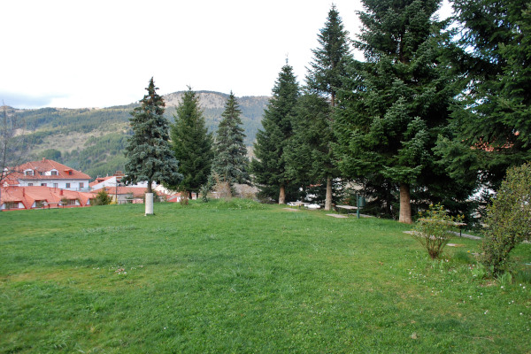 Ένα μέρος του Αβερωφειού Κήπου στο Μέτσοβο όπου το πράσινο γρασίδι και τα γύρω δέντρα κυριαρχούν στο τοπίο.