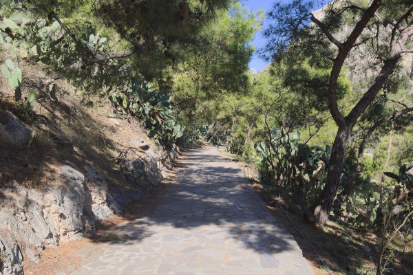 Ένα μονοπάτι με καταπράσινα άνθη και δέντρα και στις δύο πλευρές του περιπάτου - το πεζοπορικό μονοπάτι της Αρβανιτιάς, Ναύπλιο.