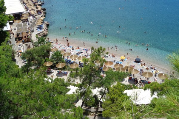 Καταπράσινα δέντρα, ομπρέλες στην παραλία και ανθρώπους να απολαμβάνουν τη θάλασσα στην παραλία Αρβανιτιάς.