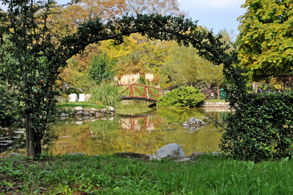 Μια εικόνα που δείχνει μια λίμνη και μια ξύλινη γέφυρα ανάμεσα στην πυκνή βλάστηση του Δημοτικού Πάρκου της Νάουσας.