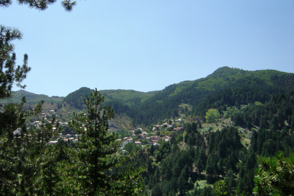 Μια φωτογραφία του χωριού Περιβόλι ανάμεσα στην πυκνή βλάστηση του Εθνικού Πάρκου Πίνδου.