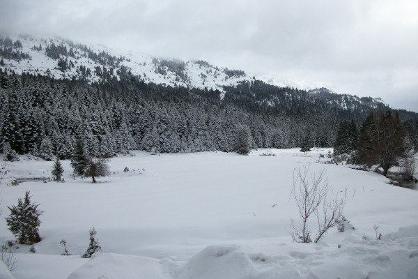 Χιονισμένο τοπίο της περιοχής Περτούλι Λιβάδια όπου βρίσκεται το Χιονοδρομικό Κέντρο Περτουλίου.