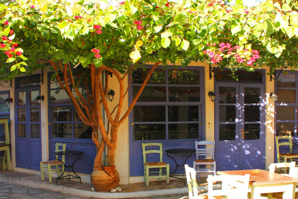 Ένα παραδοσιακό καφενείο στο Σαϊτάν Παζάρ με ένα πανέμορφο δέντρο να κοσμεί την γωνία του.