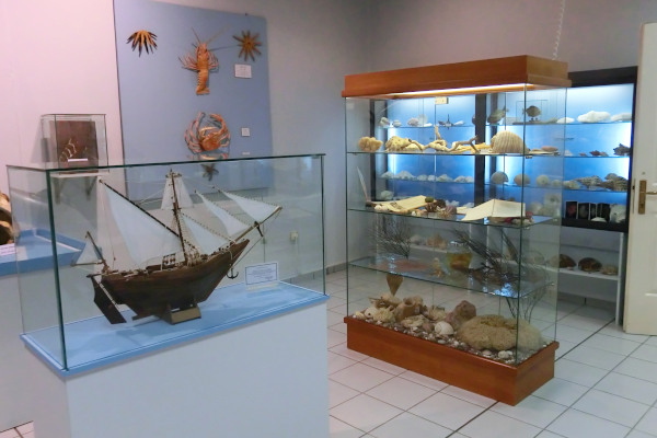 Μια φωτογραφία που παρουσιάζει εκθέματα σε θήκες σε ένα δωμάτιο του Μουσείου Φυσικής Ιστορίας Αιγαίου των Μυτιληνιών Σάμου.