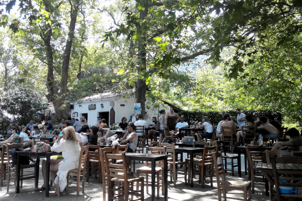 Άνθρωποι που απολαμβάνουν καφέ κάτω από τη σκιά των ψηλών δέντρων σε μια καφετέρια της πλατείας Θέρμα στη Σαμοθράκη