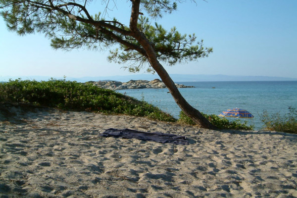 Φωτογραφία που δείχνει μέρος της παραλίας Καρύδι στη Βουρβουρού. Σιθωνία