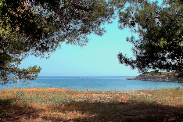 Μια φωτογραφία που τραβήχτηκε ανάμεσα σε δέντρα δείχνει την ακτή του Νέου Μαρμαρά στη Σιθωνία της Χαλκιδικής.