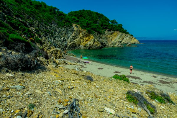 Πέτρες, βράχοι, αγριόχορτα και θάλασσα σε ένα γαλανοπράσινο περιβάλλον στην παραλία Μικρός Ασέληνος, Σκιάθος.