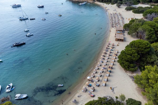 Αεροφωτογραφία της παραλίας Τσουγκριά με ένα beach bar, άλσος στα δεξιά και τιρκουάζ νερά στα αριστερά.