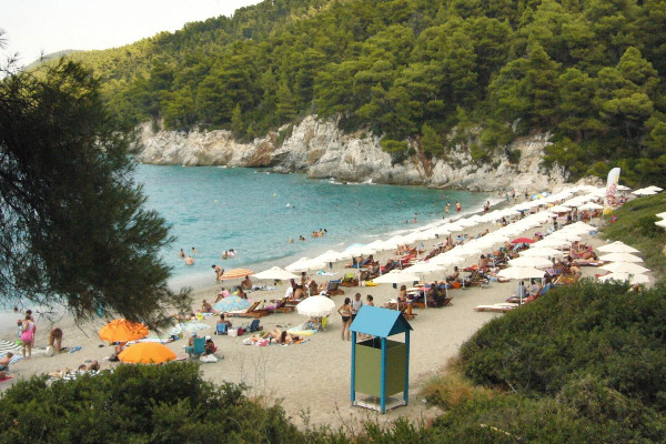 Μια φωτογραφία πολύ κόσμου με ομπρέλες και ξαπλώστρες στην παραλία Καστάνη (Mamma Mia) της Σκοπέλου.