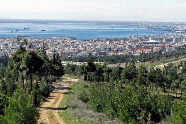 Η αρχή του δάσους Σέιχ Σου, και η πόλη της Θεσσαλονίκης και ο Θερμαϊκός Κόλπος στο βάθος.