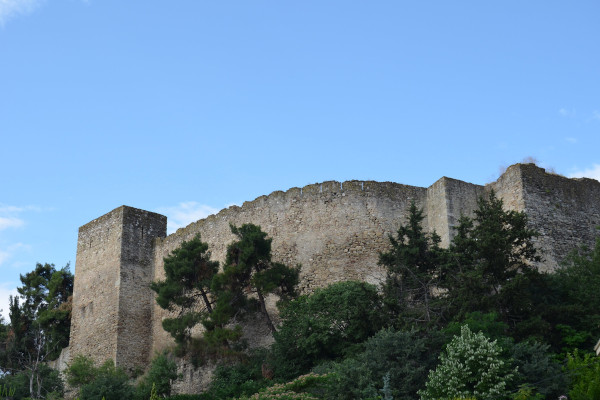 Μια εικόνα που δείχνει τα τείχη του κάστρου ανάμεσα στην πλούσια βλάστηση της ακρόπολης των Τρικάλων.