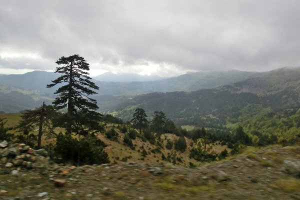 Μια φωτογραφία του φυσικού τοπίου της Βάλια Κάλντα, που περιλαμβάνει βουνά, δέντρα και την ίδια την κοιλάδα.